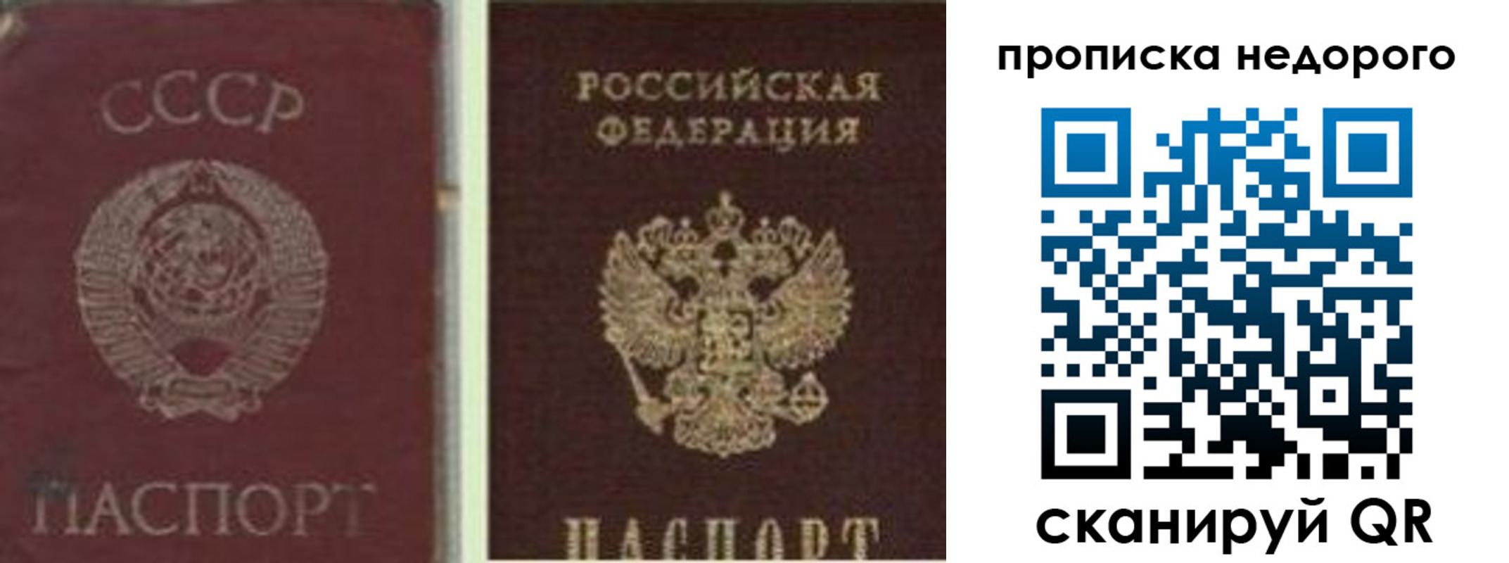 временная регистрация поиск в Донском